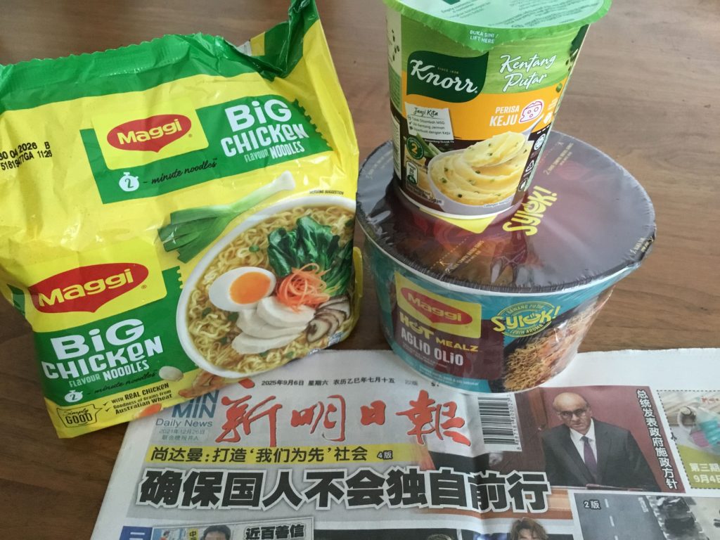 シンガポールに行った